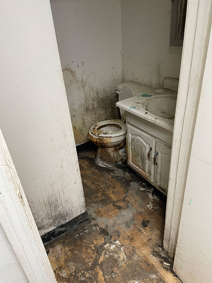 moldy bathroom toilet